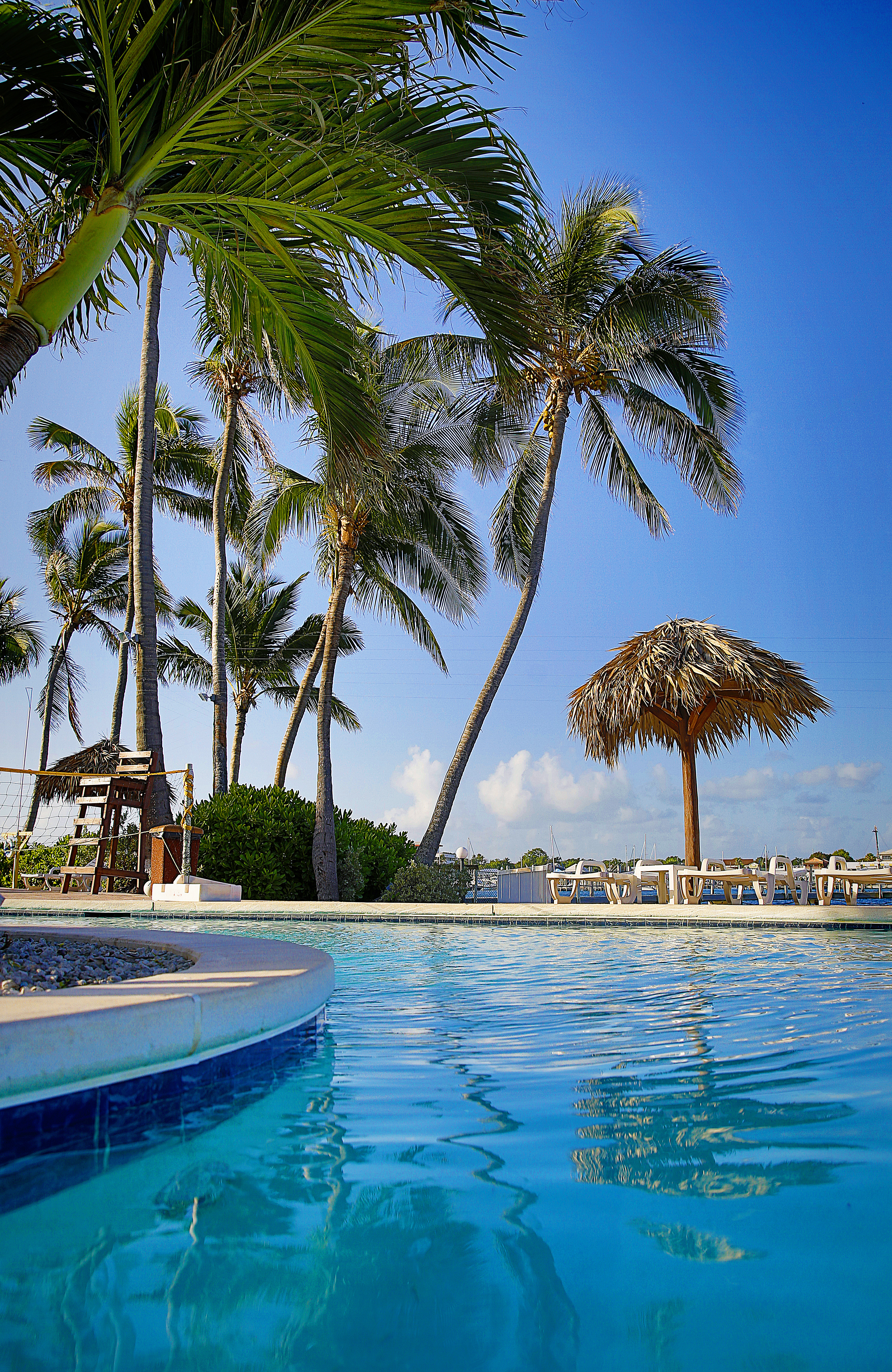 Family Vacation Deal in The Bahamas