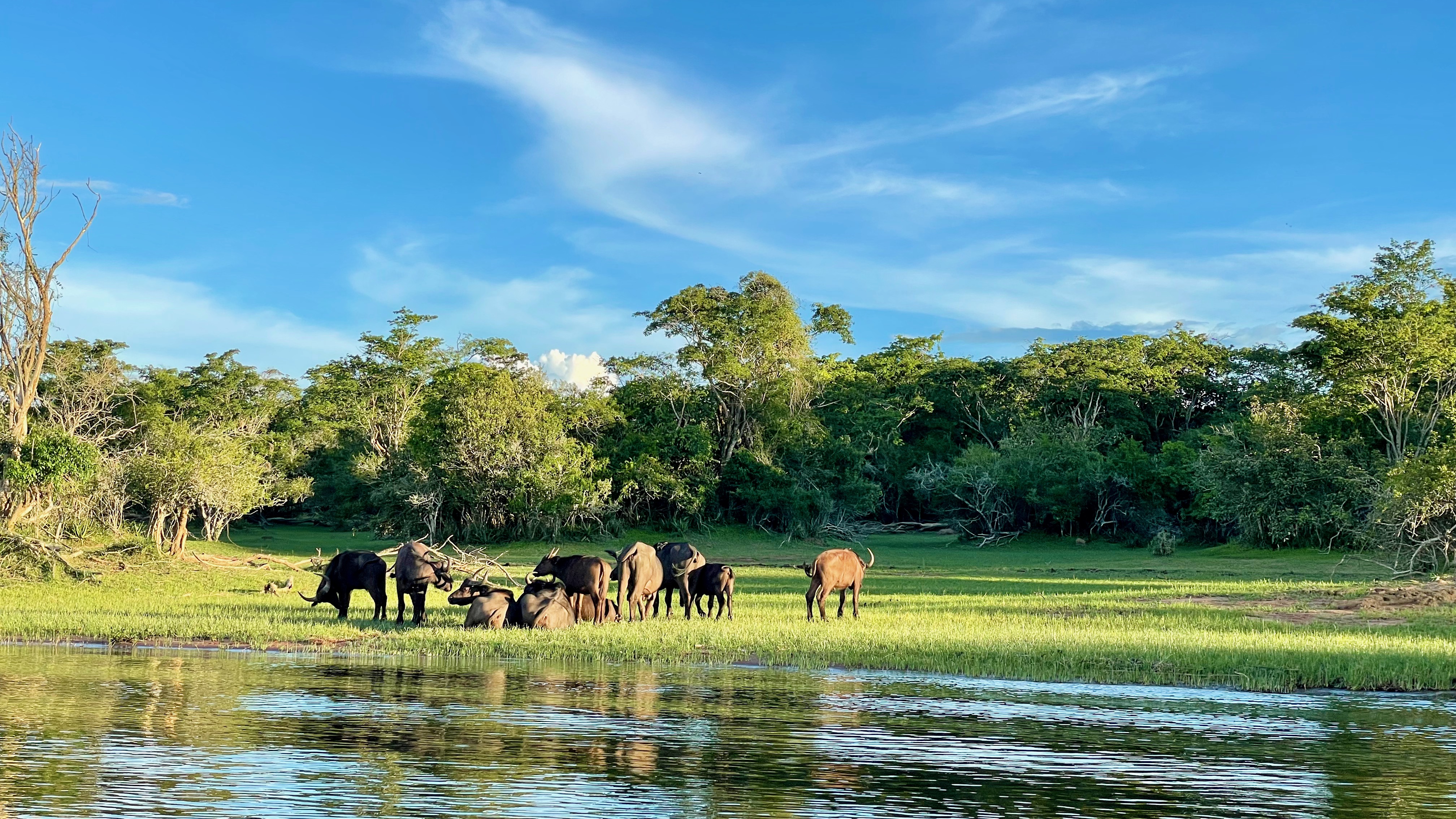 African Safaris for Families