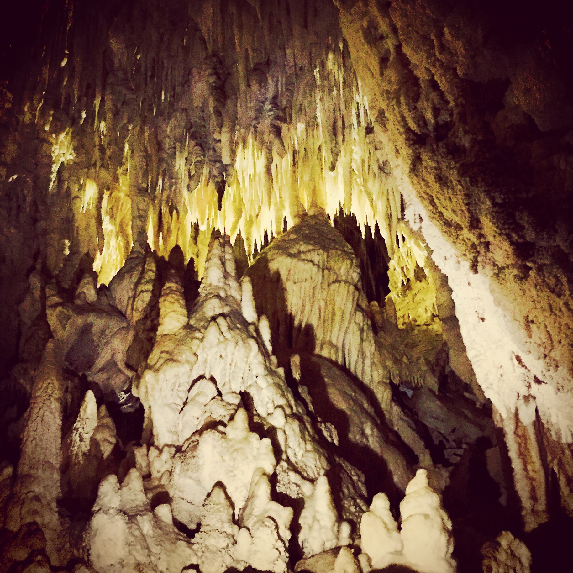 Exploring the Waitomo Glowworm Caves in New Zealand