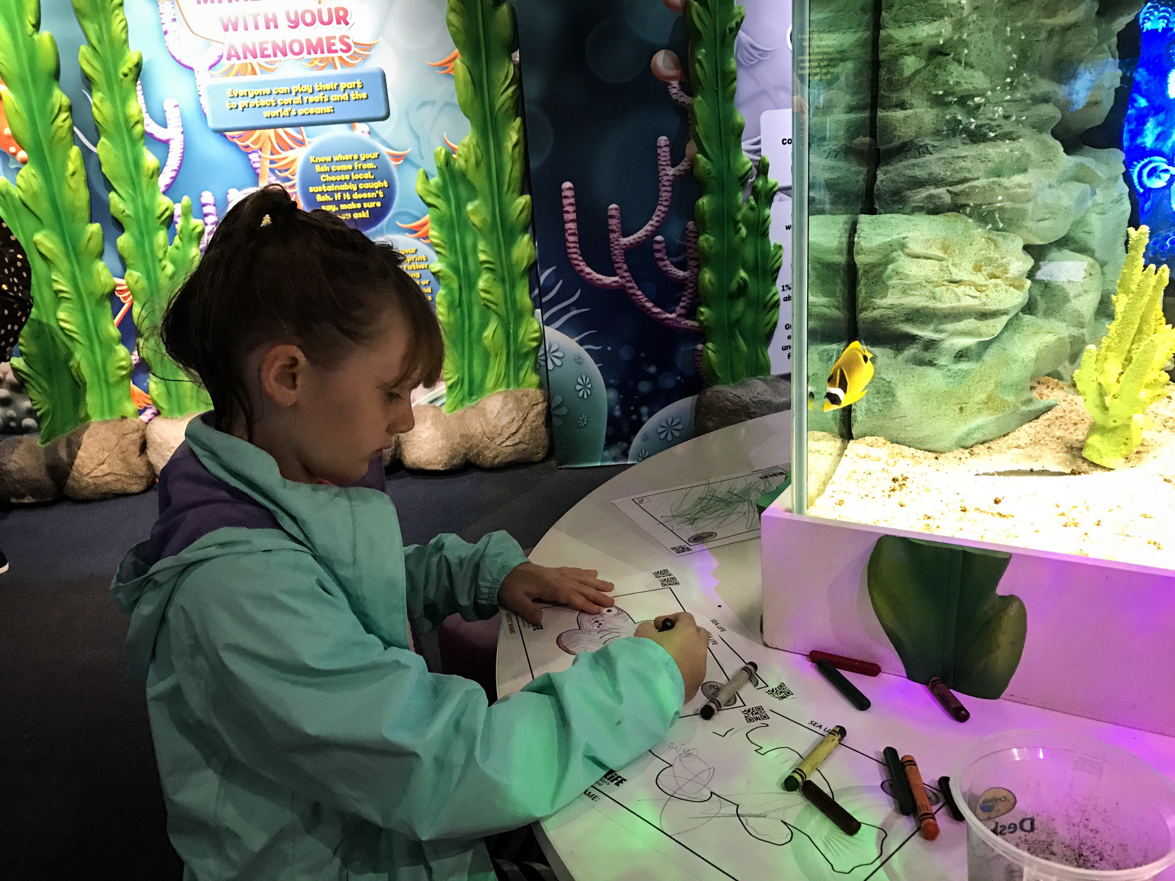 What to Do on a Rainy Day in Auckland