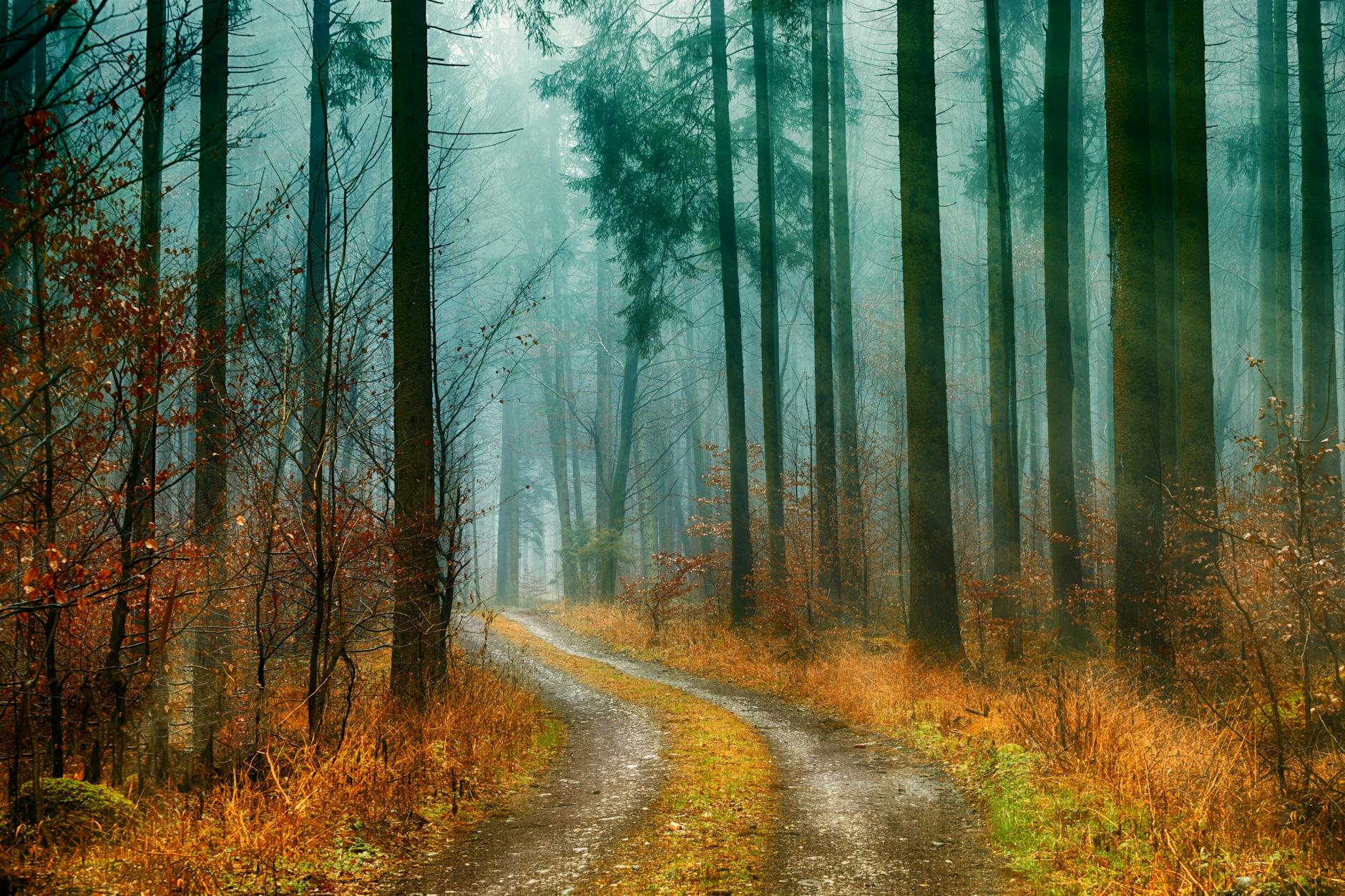 2025 Fall Travel Guide