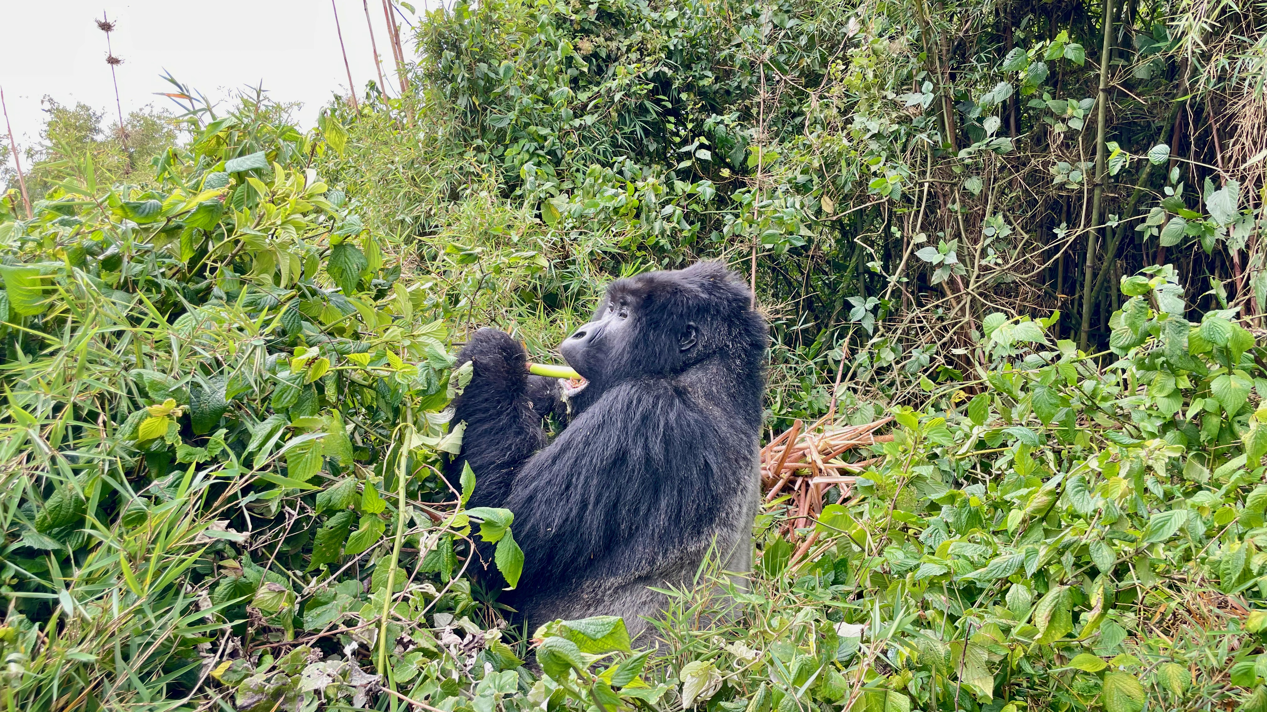 5 Places to Visit in Rwanda
